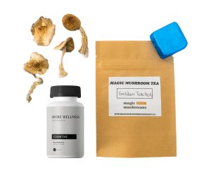 Kit du premier champignon magique : Psych 101 - Une introduction aux psychédéliques