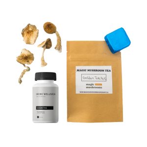 First Timer Magic Mushroom Kit Psych 101