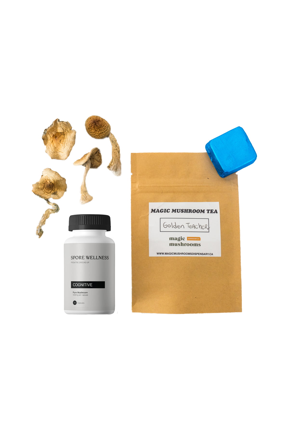 First timer magic mushroom kit