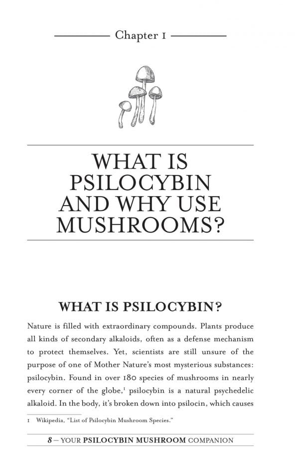 Votre livre d'accompagnement sur le champignon Psilocybine 2