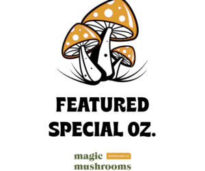 Featured Special ‘Oz’ Magic Mushrooms (28 grams)