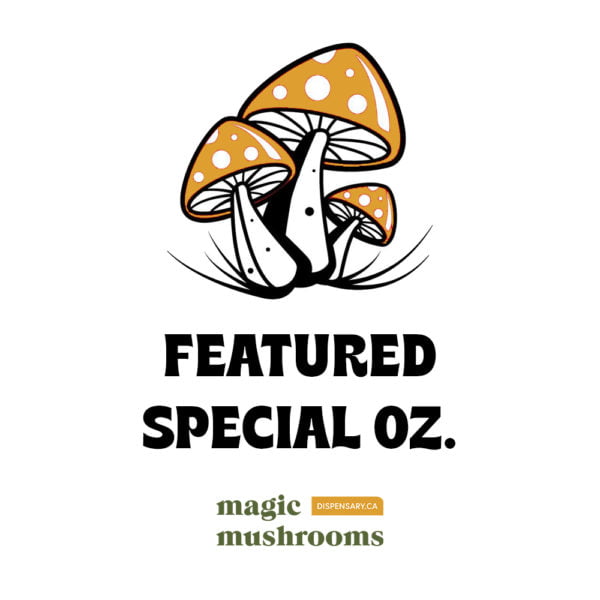 Magic Mushrooms Featured Special Oz