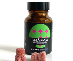 Shafaa Evolve Magic Mushroom Microdosing Gummy Bears