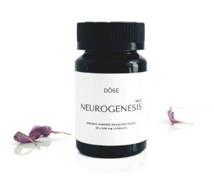 Dose Neurogenesis No.3 Microdose Psilocybin Capsules