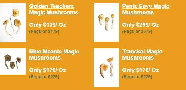 New Lower Pricing on Classics Strains Save up to 80 Off Golden Teachers Penis Envy Transkei Blue Meanie