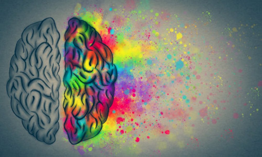 magic mushroom brain magic mushroom brain