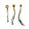 Creeper Shrooms