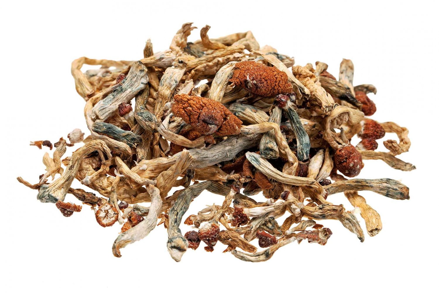 assorted dried magic mushrooms