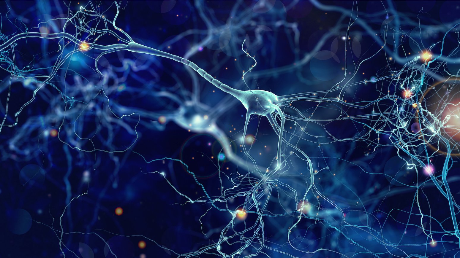 neural connections neural connections