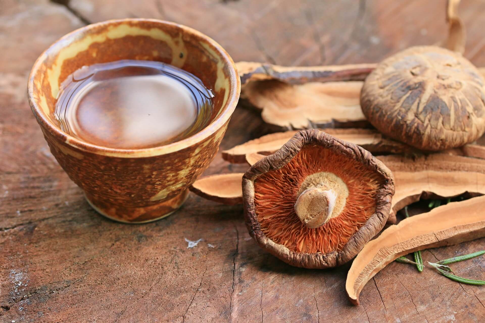 magic mushroom tea