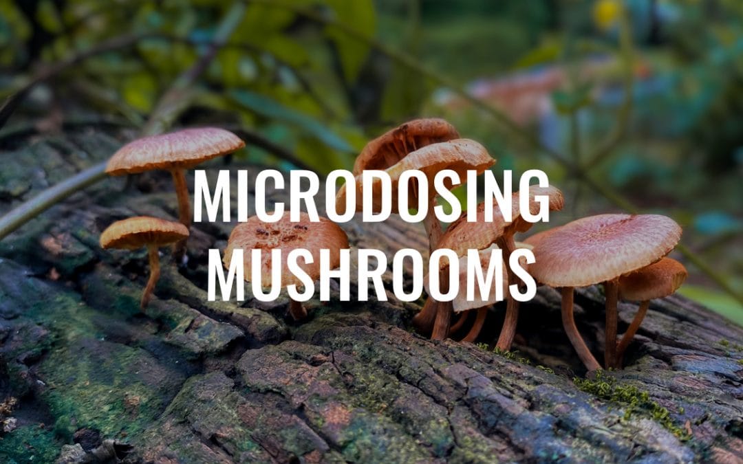 microdosing shrooms