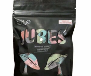 Silo Jubes Microdose Psilocybin Mushroom Gummies Edibles