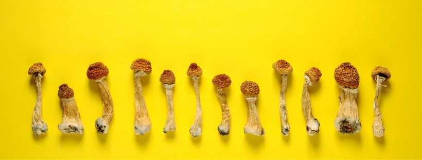 When Should You Macrodose Magic Mushrooms