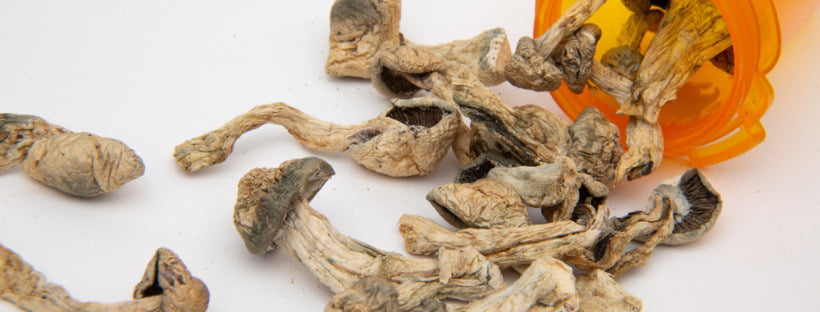 Where To Buy Magic Mushrooms 1