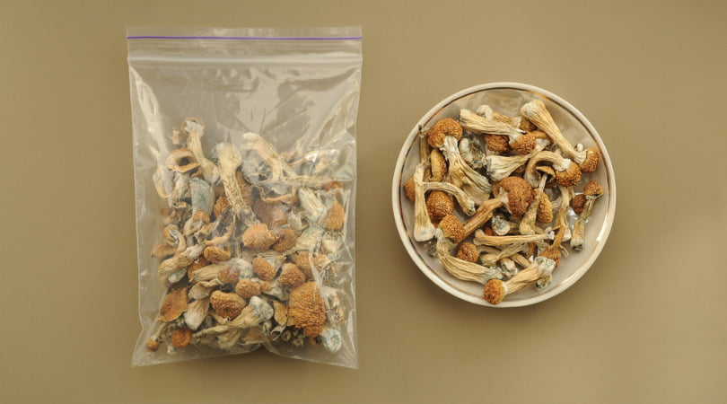 Your Guide to Macrodosing Magic Mushrooms