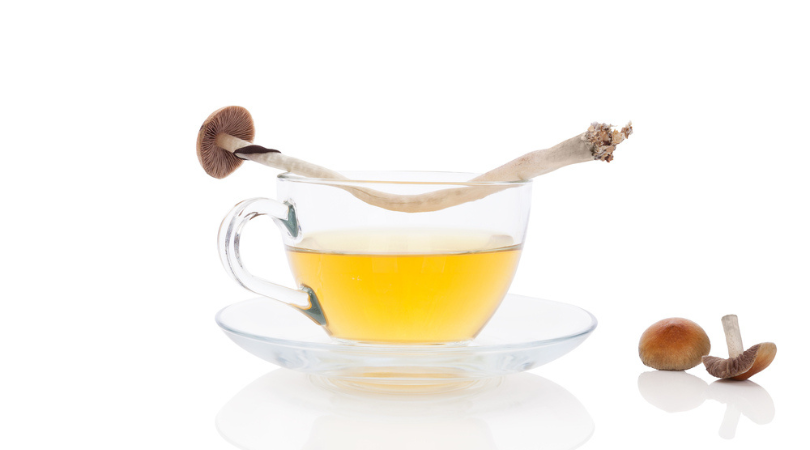 How to Make Magic Mushroom Tea and Get More Out of It
