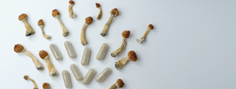 Where To Buy Shroom Capsules