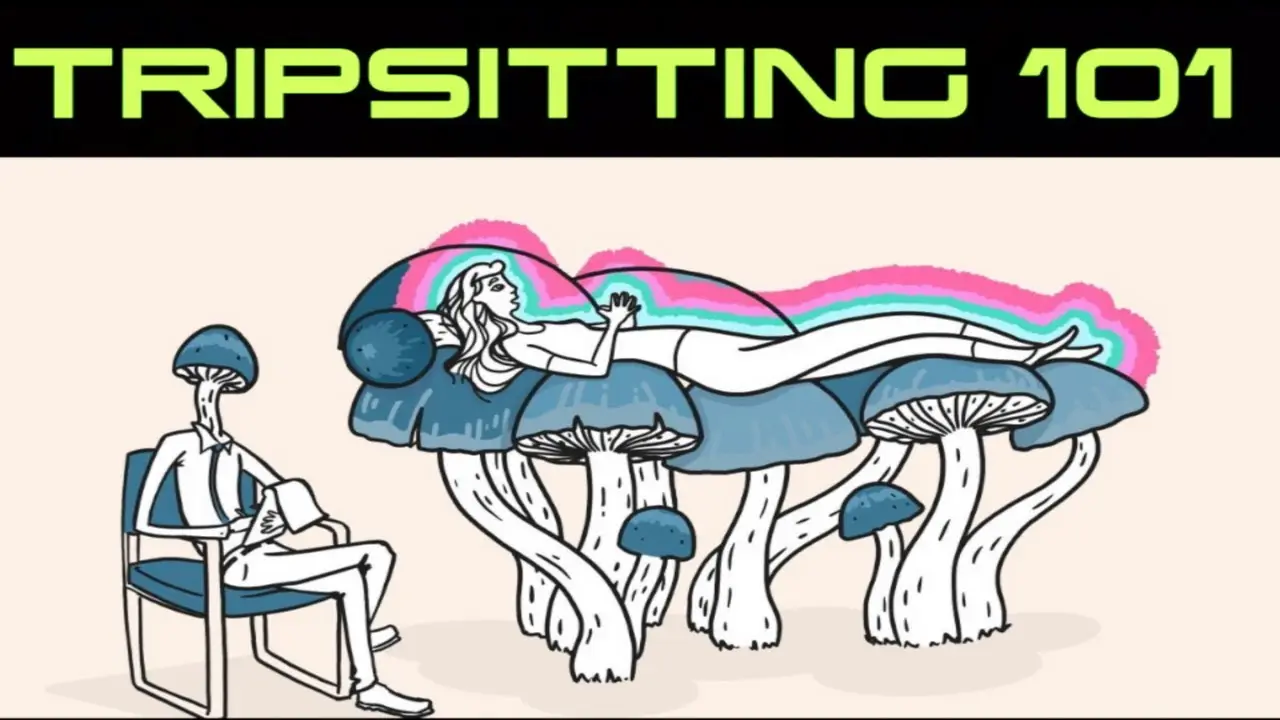 trip sitting 101 trip sitting 101