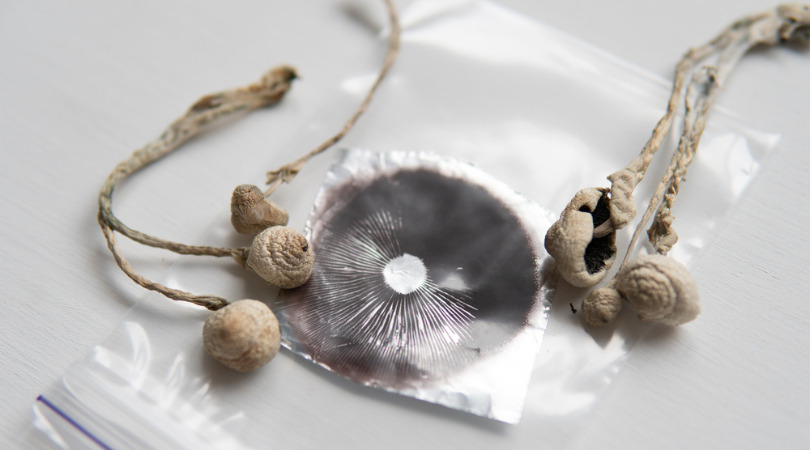 Where To Buy Magic Mushroom Spores In Canada