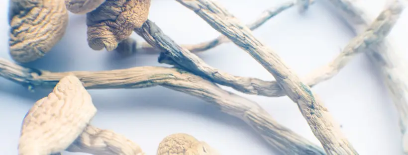 It Takes A While For The Effects To Hit You It Takes A While For The Effects To Hit You