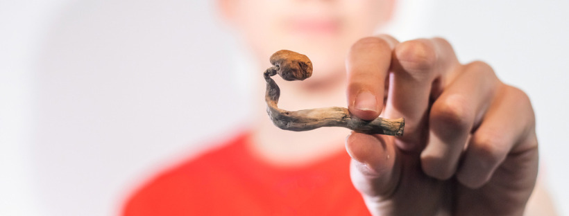 Positive Changes In Behavior And Personality