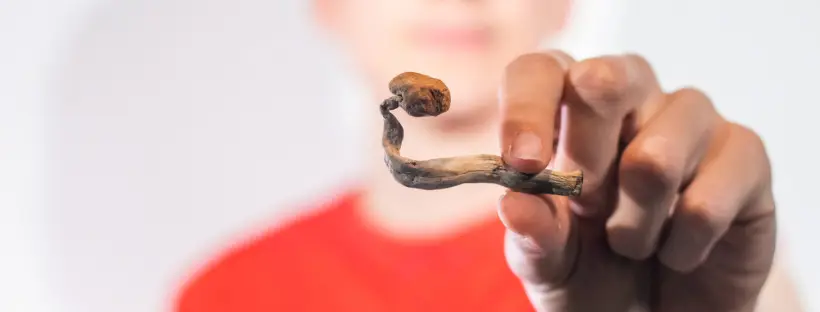 Positive Changes In Behavior And Personality Positive Changes In Behavior And Personality