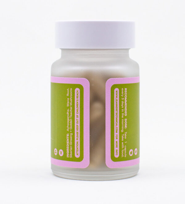 ARCHETYPE CHILL Microdose Mushroom Capsules Details 1