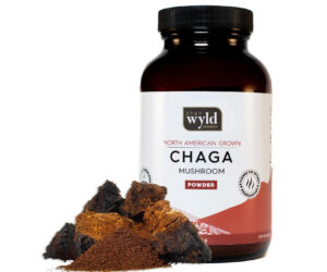 Stay Wyld Organics – Chaga Mushroom Capsules (Bottle of 60)