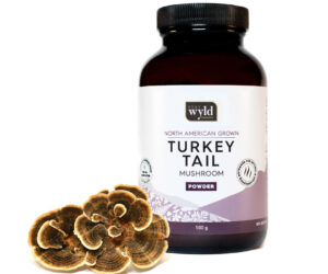Stay Wyld Organics – Turkey Tail Mushroom Capsules (Bottle of 60)