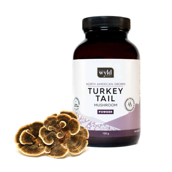 Stay Wyld Organics Turkey Tail Capsules