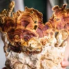 Stay Wyld Organics Reishi Mushroom Powder Ingredients
