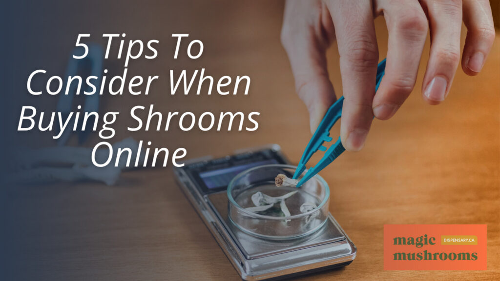 5 Tips To Consider When Buying Shrooms Online