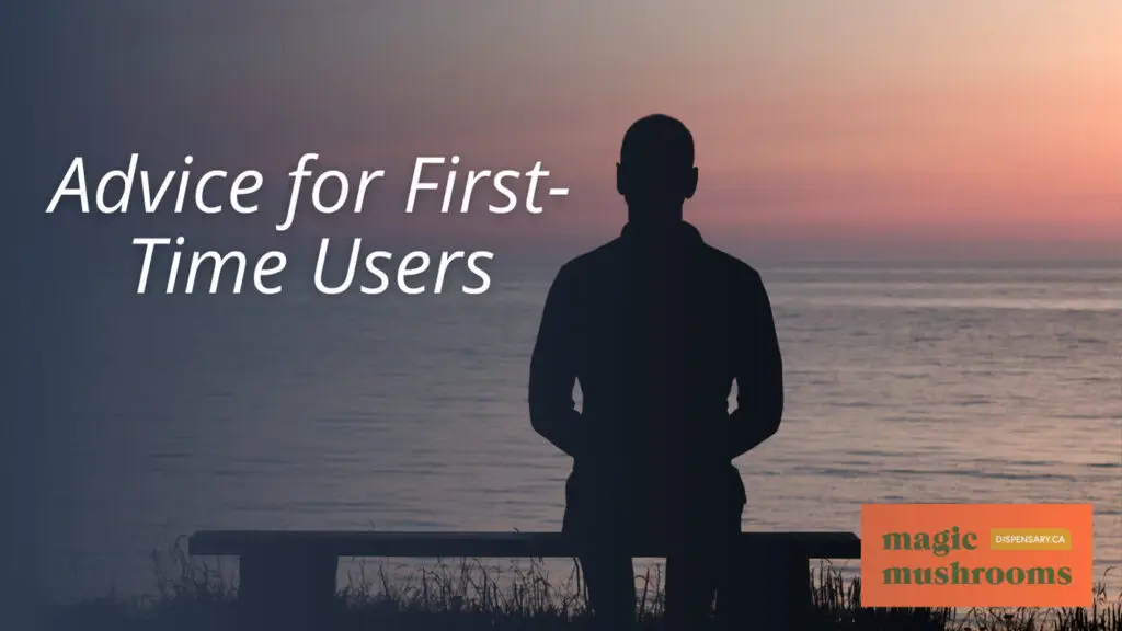 Advice for First Time Users Advice for First Time Users