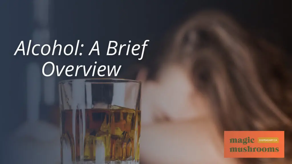 Alcohol A Brief Overview Alcohol A Brief Overview