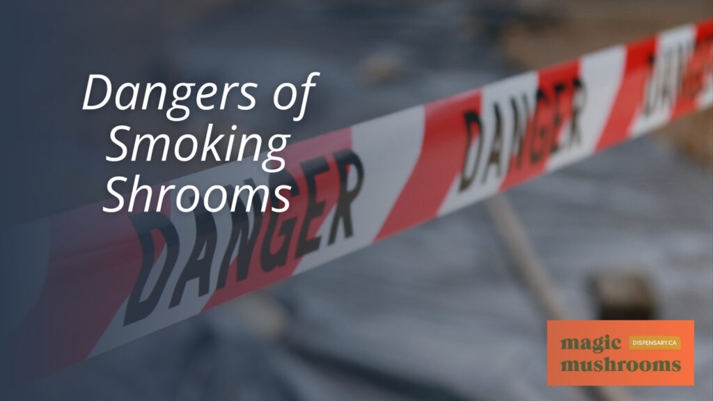 Dangers of Smoking Shrooms