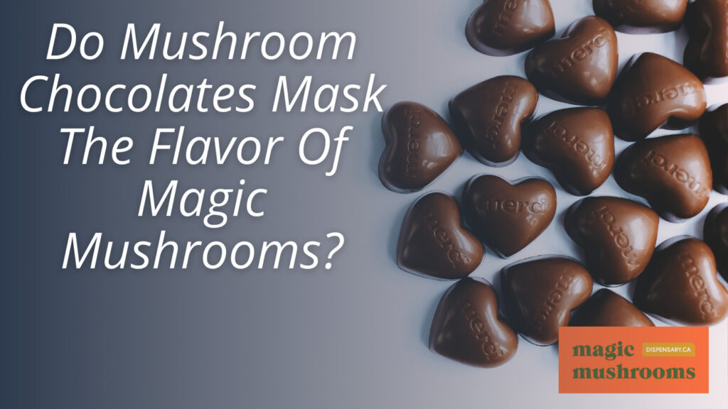 Do Mushroom Chocolates Mask The Flavor Of Magic Mushrooms