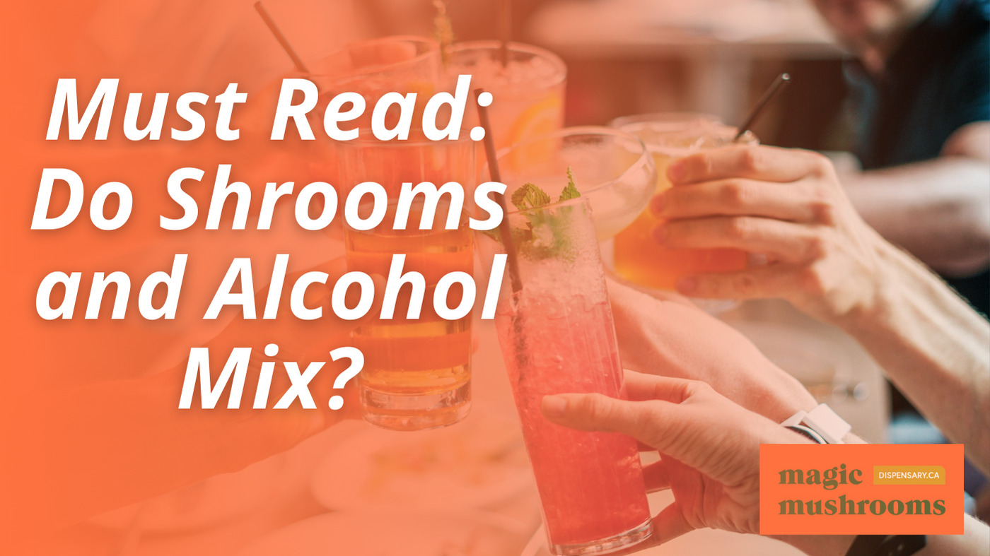Do Shrooms and Alcohol Mix