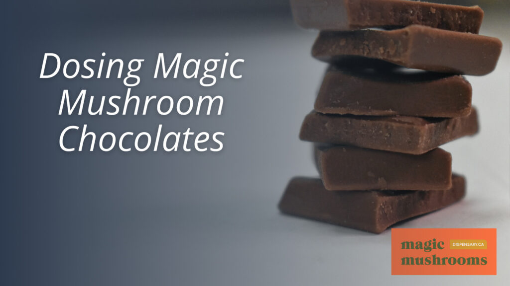 Dosing Magic Mushroom Chocolates