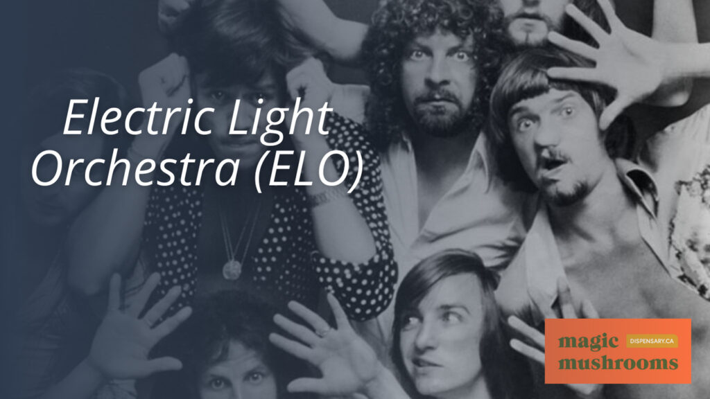 Electric Light Orchestra (ELO)