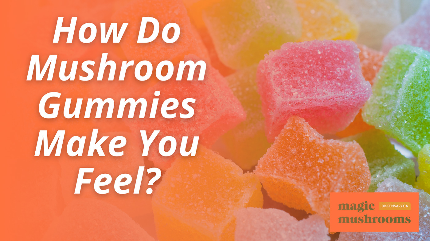 How Do Mushroom Gummies Make You Feel