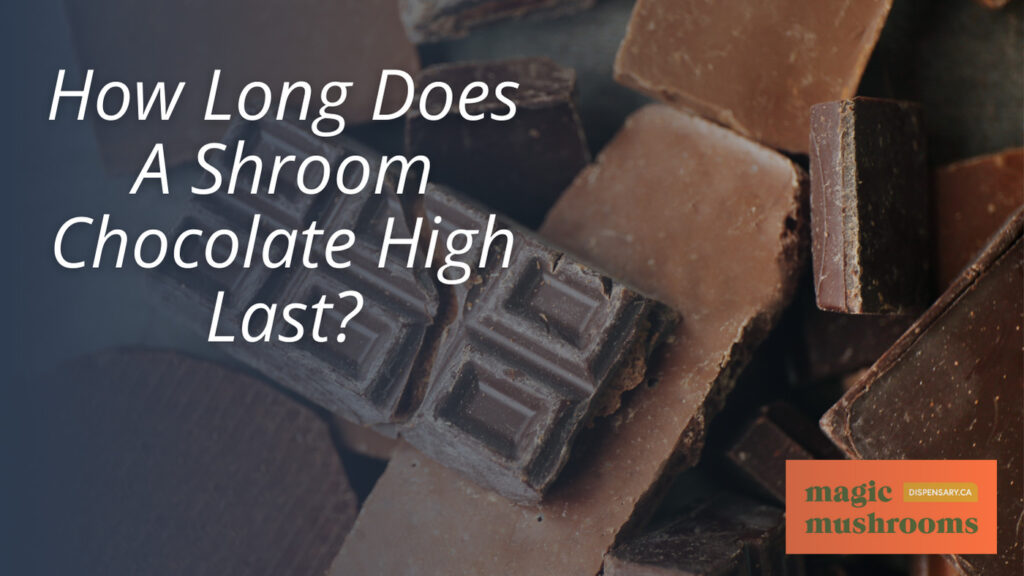 How Long Does A Shroom Chocolate High Last