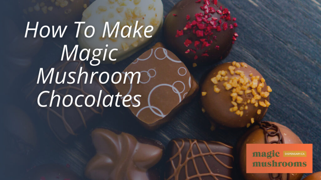 How To Make Magic Mushroom Chocolates