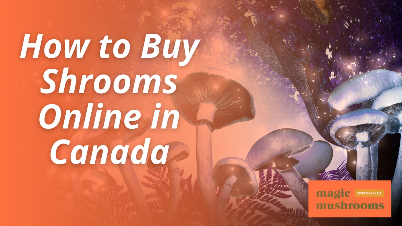 How to Buy Shrooms Online in Canada