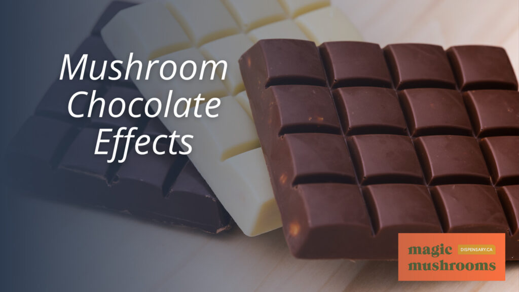 Mushroom Chocolate Effects