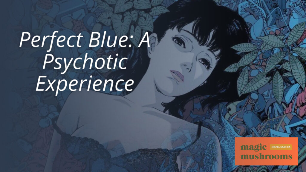 Perfect Blue A Psychotic Experience