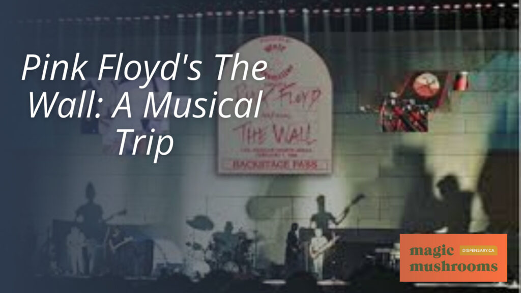 Pink Floyd's The Wall A Musical Trip