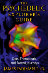 The Psychedelic Explorer's Guide