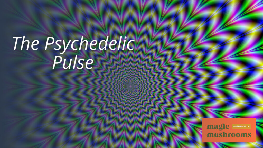 The Psychedelic Pulse