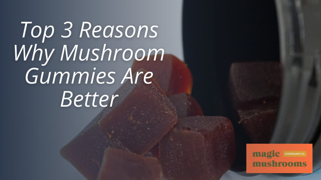 Top 3 Reasons Why Mushroom Gummies Are Better