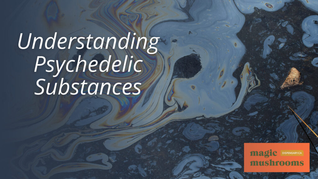 Understanding Psychedelic Substances